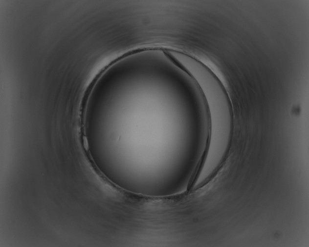 X0000091361093200708311459
