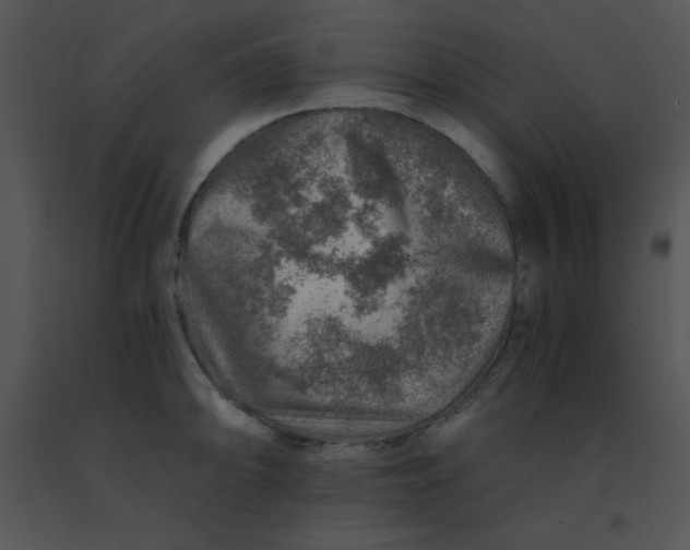 X0000091361094200708311459