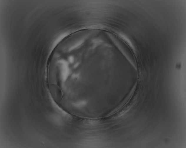 X0000091361095200708311459