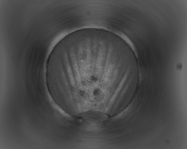 X0000091361096200708311459