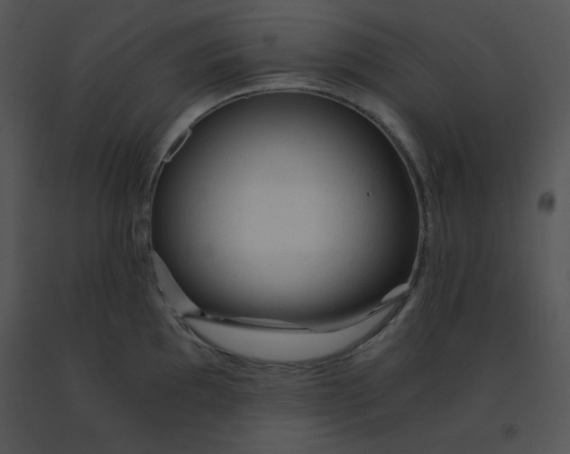 X0000091361097200708311459