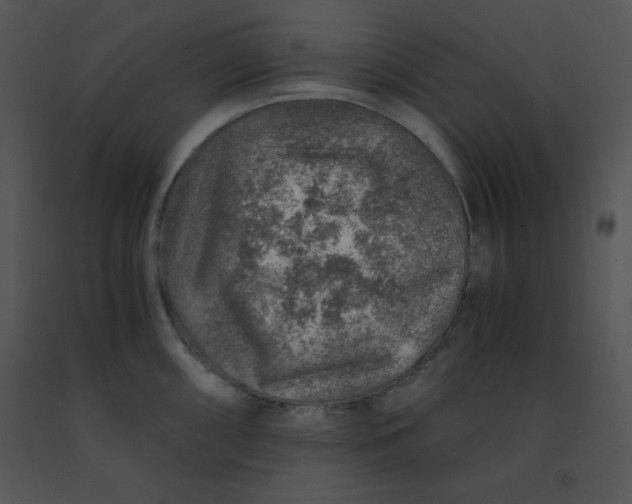 X0000091361098200708311459