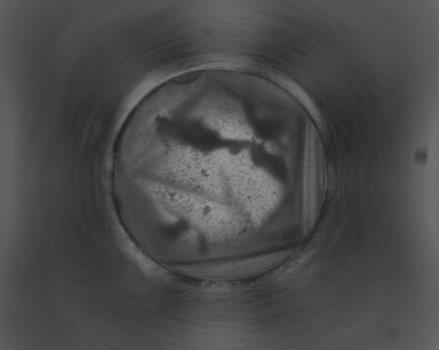 X0000091361099200708311459