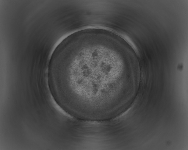 X0000091361100200708311459