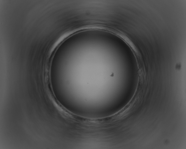 X0000091361101200708311459
