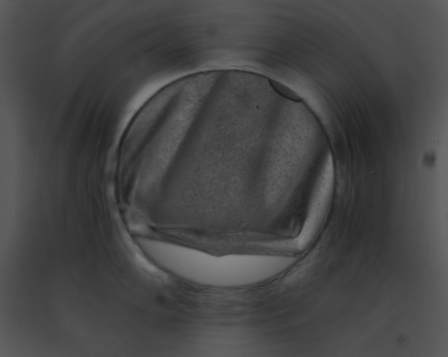 X0000091361102200708311459