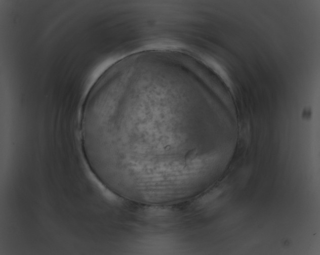 X0000091361103200708311459