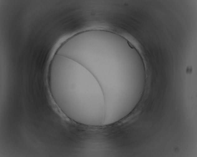 X0000091361104200708311459