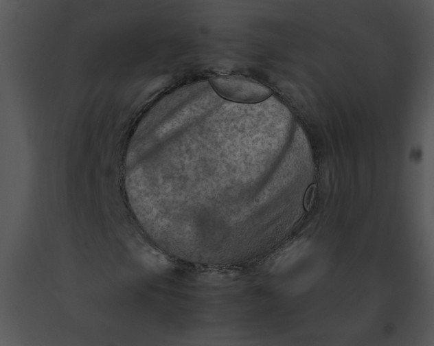 X0000091361105200708311459