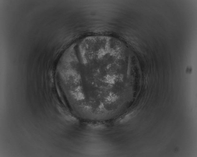 X0000091361106200708311459