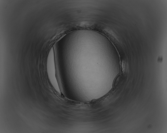 X0000091361107200708311459