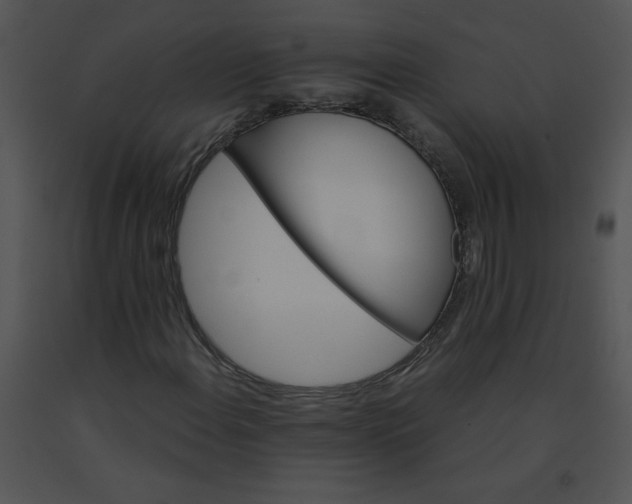 X0000091361108200708311459
