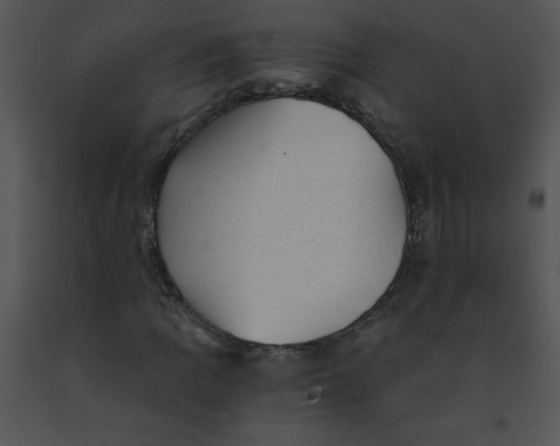 X0000091361109200708311459