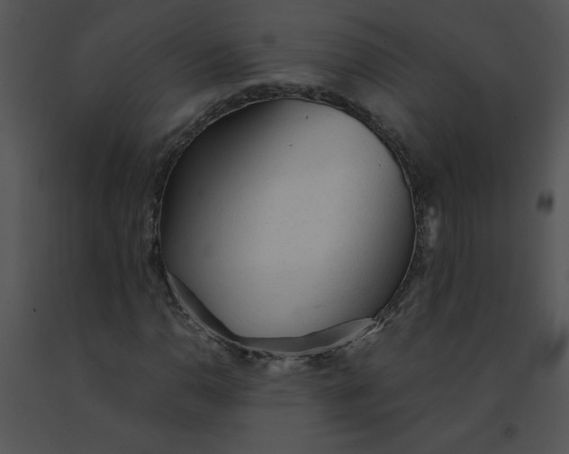 X0000091361110200708311459