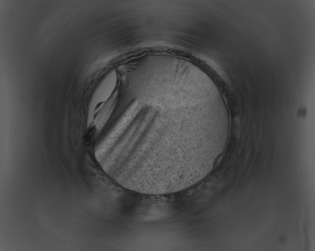 X0000091361111200708311459