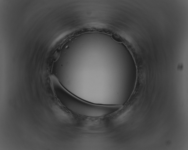 X0000091361112200708311459