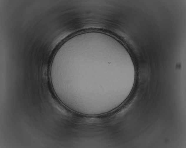 X0000091361113200708311459