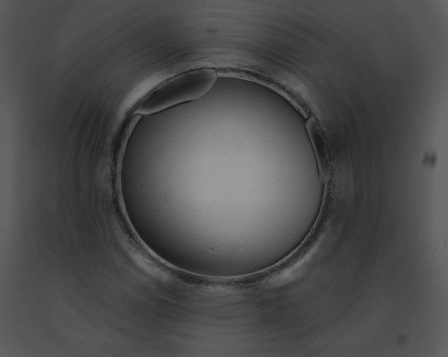 X0000091361114200708311459