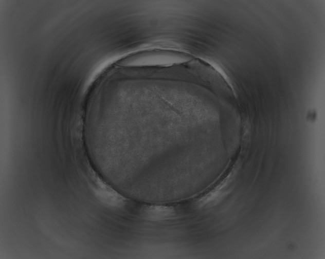 X0000091361115200708311459