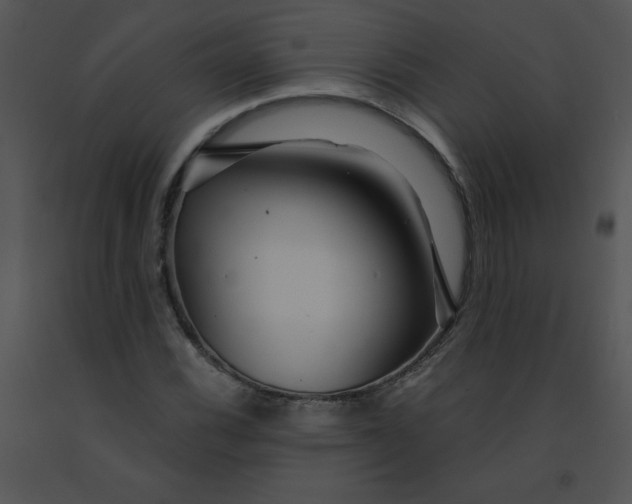 X0000091361116200708311459