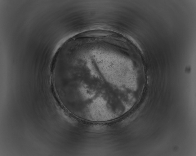 X0000091361117200708311459