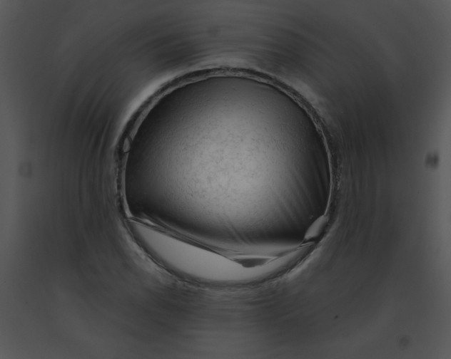 X0000091361118200708311459