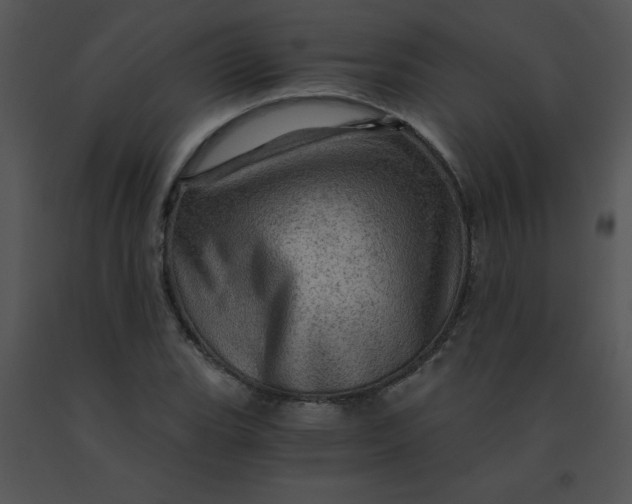 X0000091361119200708311459