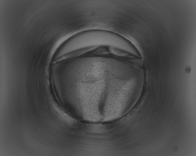 X0000091361120200708311459