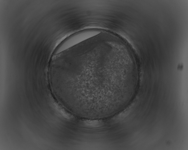 X0000091361121200708311459