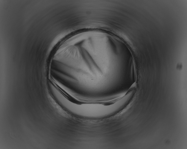 X0000091361122200708311459