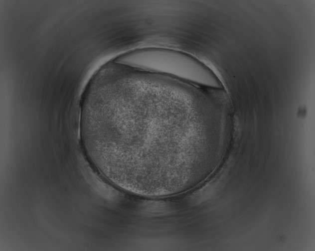 X0000091361123200708311459