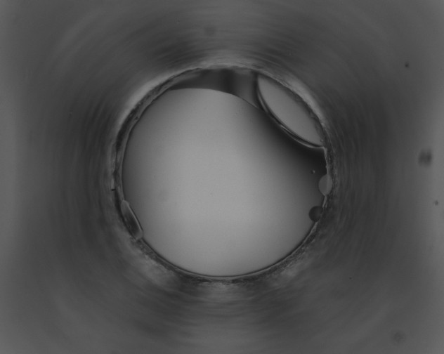 X0000091361124200708311459