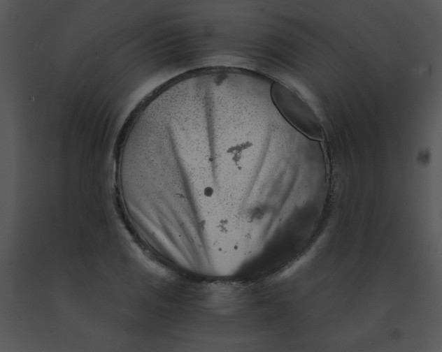 X0000091361125200708311459
