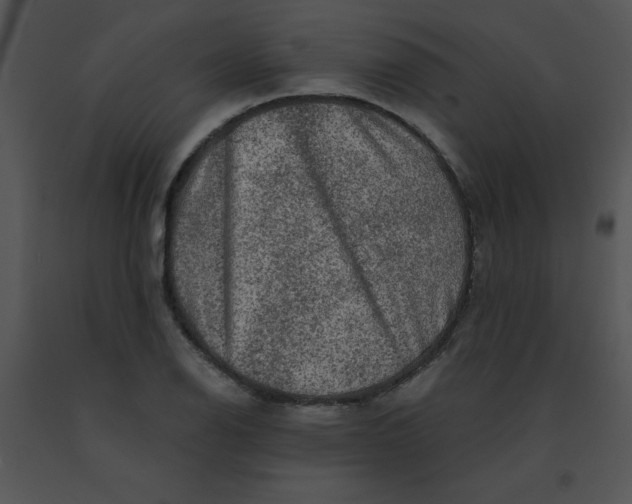 X0000091361126200708311459