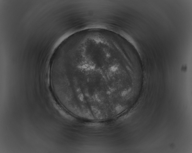 X0000091361127200708311459