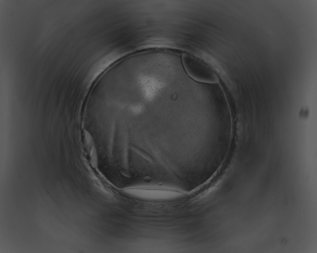 X0000091361129200708311459