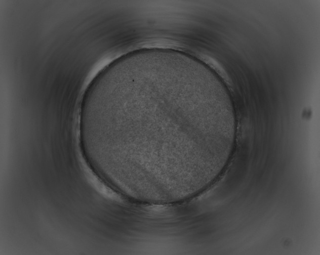 X0000091361130200708311459
