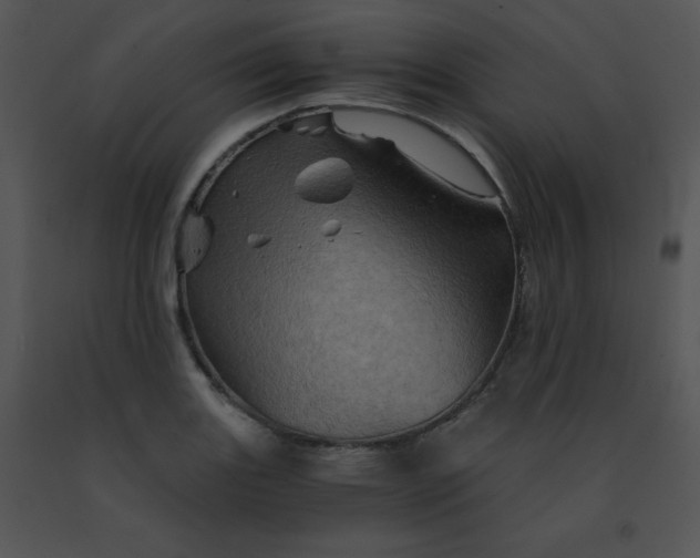 X0000091361131200708311459