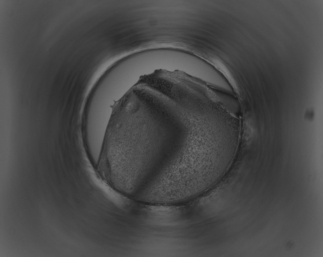 X0000091361132200708311459