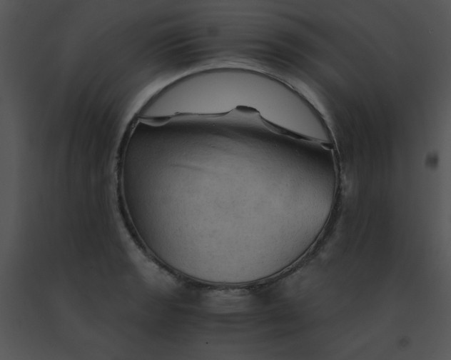X0000091361133200708311459