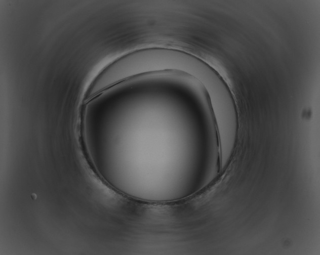 X0000091361136200708311459