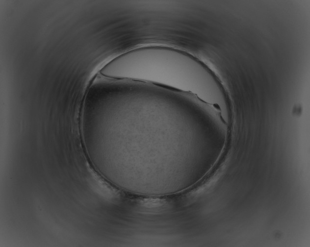 X0000091361137200708311459