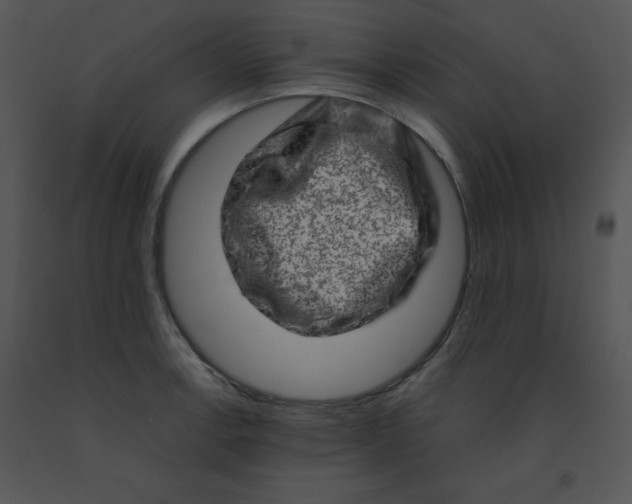 X0000091361138200708311459