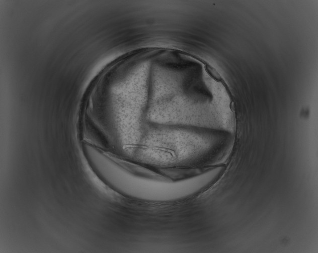 X0000091361139200708311459