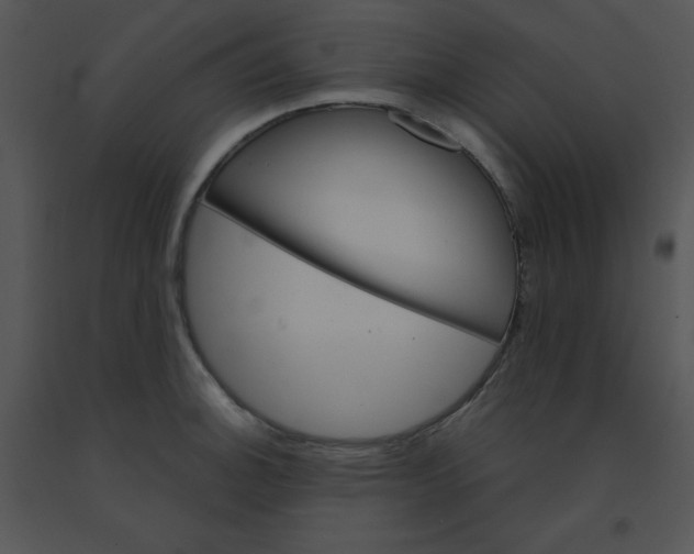 X0000091361140200708311459