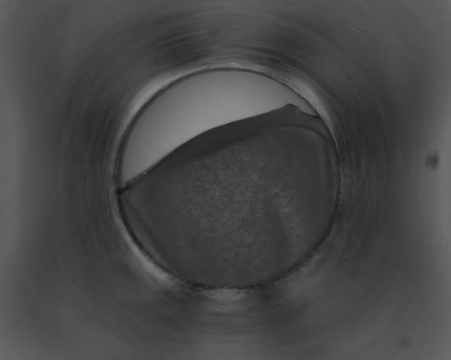 X0000091361141200708311459
