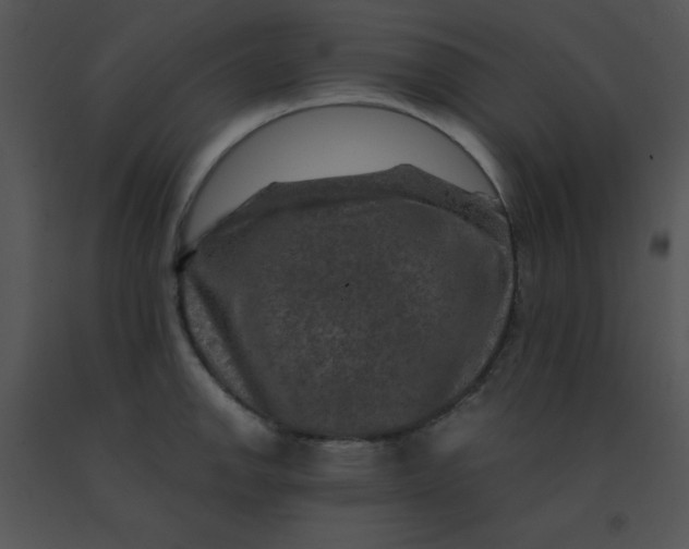 X0000091361142200708311459