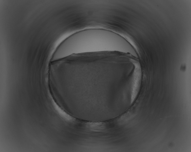 X0000091361143200708311459