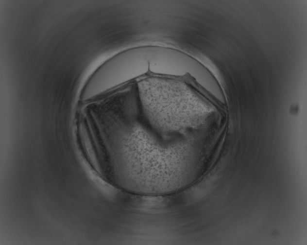 X0000091361144200708311459