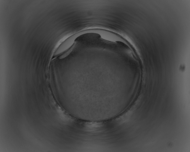 X0000091361145200708311459